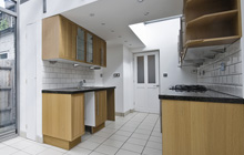 Otterham kitchen extension leads